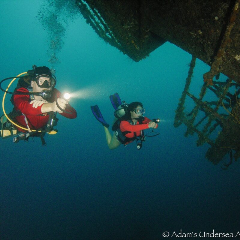 blue island divers owner