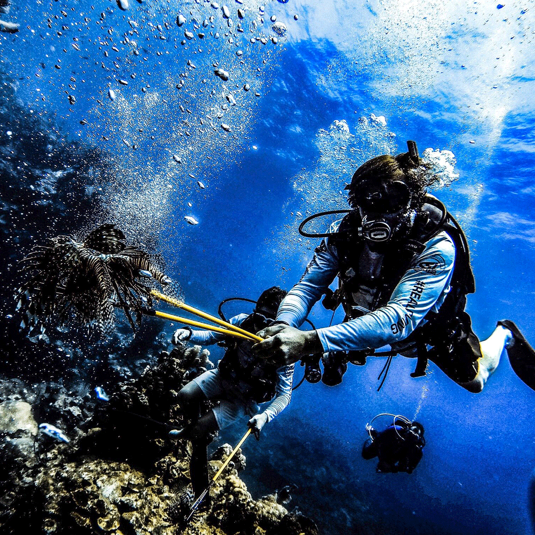 blue island diver roatan owner ssi instructor eric d white