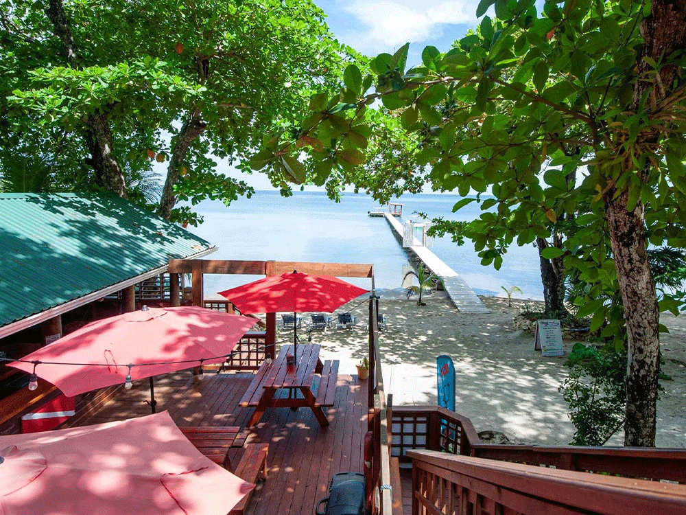 blue island divers beachviewresortunitroatan 1