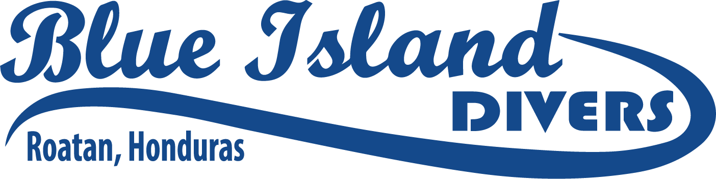 blue island divers logo blue