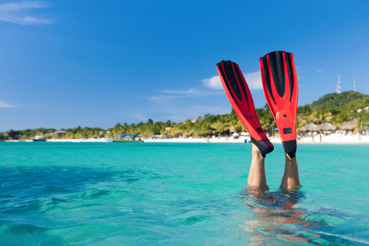 cruise snorkeling scuba