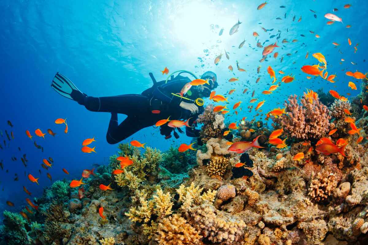 scuba diving roatan honduras