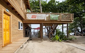 Blue Island Divers place picture